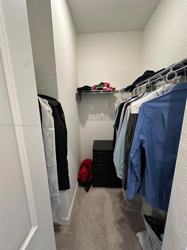 walk in closet with carpet floors