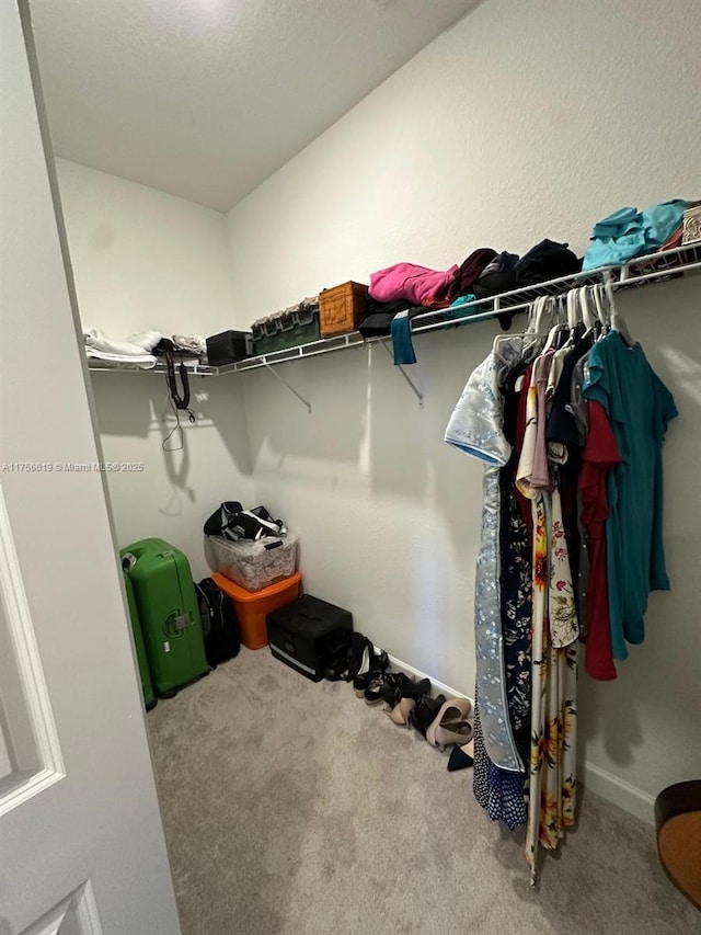 walk in closet with carpet