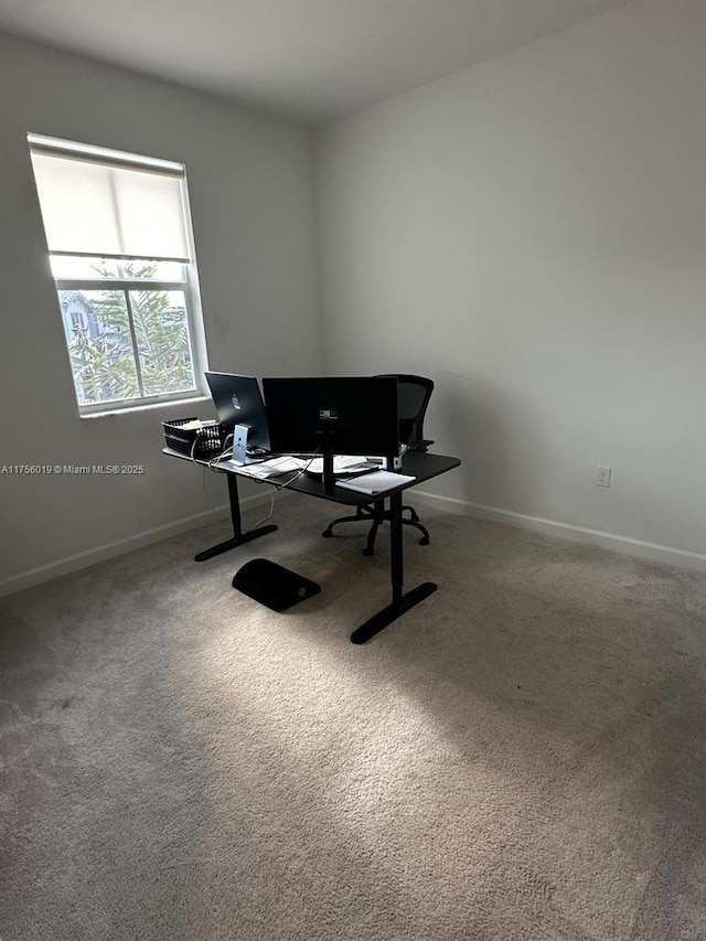 office area featuring carpet flooring and baseboards