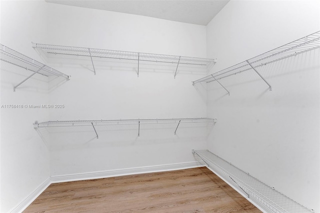 5220 SW 139th Ter, Miramar, FL 33027 - spacious closet with light wood-style floors