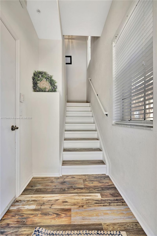 staircase featuring wood finished floors