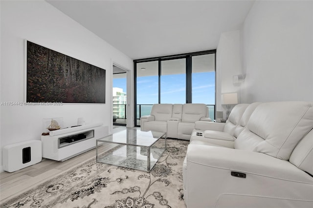 living area featuring expansive windows and wood finished floors