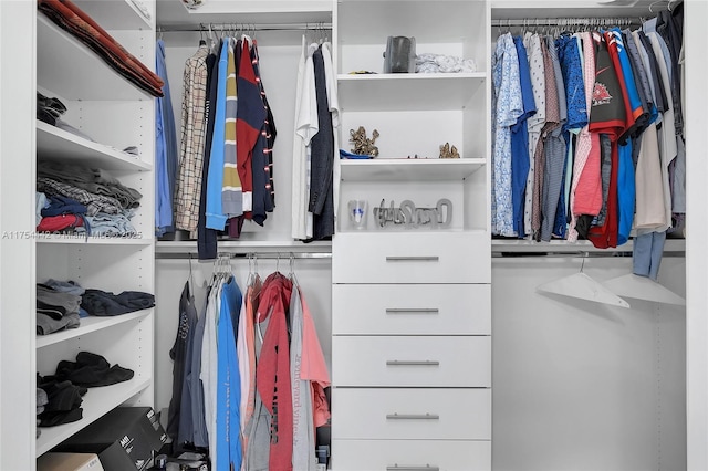 480 NE 31st St Unit 4805, Miami, FL 33137 - view of spacious closet