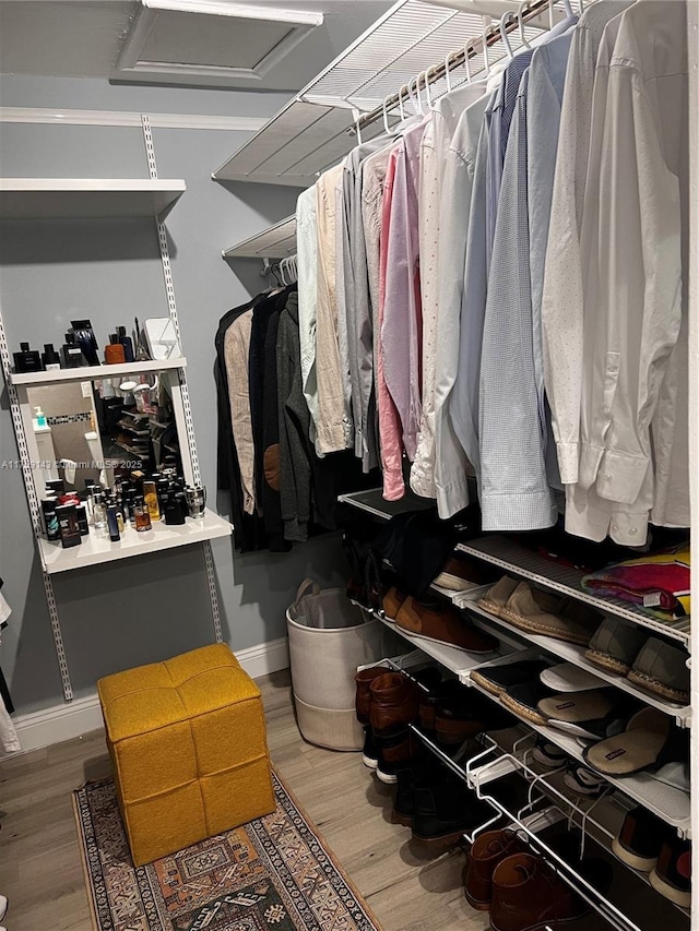 walk in closet featuring wood finished floors