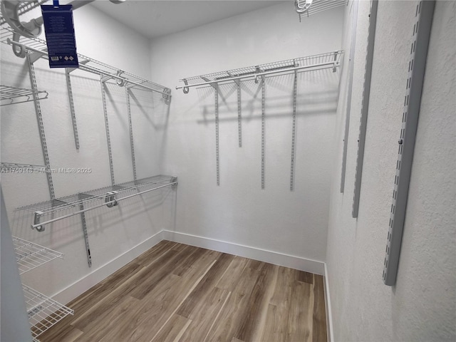 spacious closet featuring wood finished floors