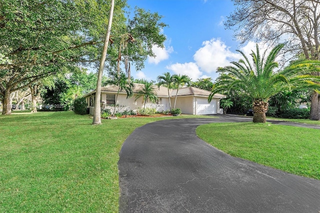 ranch-style home featuring a front lawn, driveway, an attached garage, and stucco siding