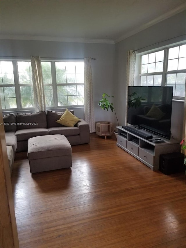 living room with wood finished floors and crown molding