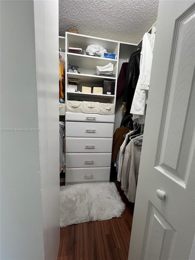 walk in closet featuring wood finished floors