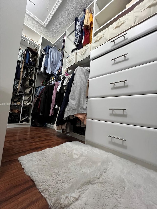 spacious closet with wood finished floors