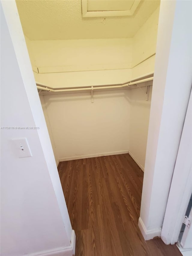 spacious closet featuring wood finished floors