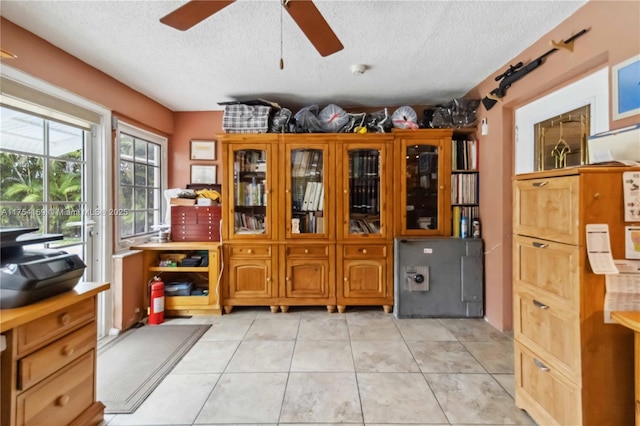 storage with a ceiling fan