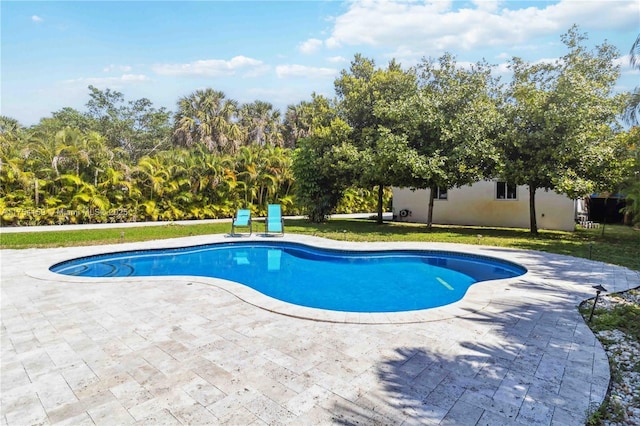 outdoor pool featuring a yard and a patio area