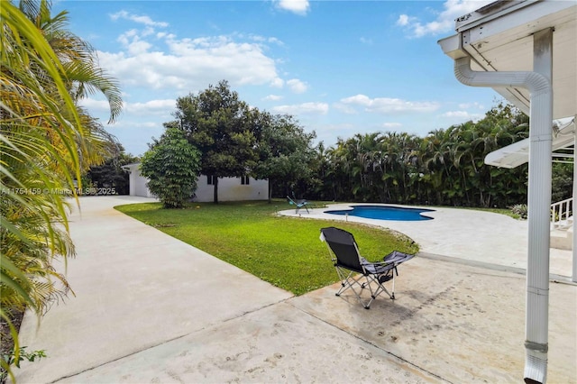 view of yard with a patio area and an outdoor pool