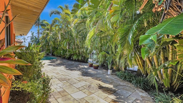 view of patio featuring an outdoor pool