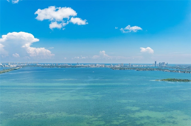 property view of water with a city view