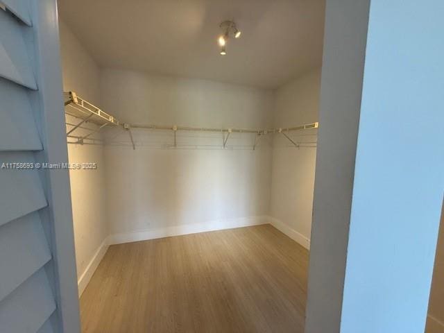 walk in closet featuring wood finished floors