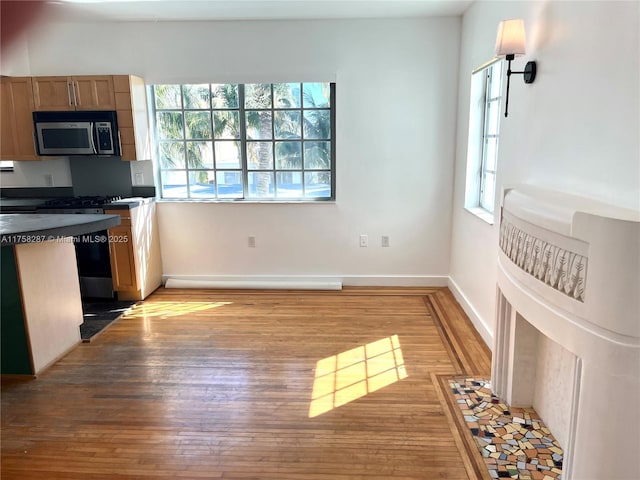 kitchen with stainless steel appliances, dark countertops, wood finished floors, and baseboards