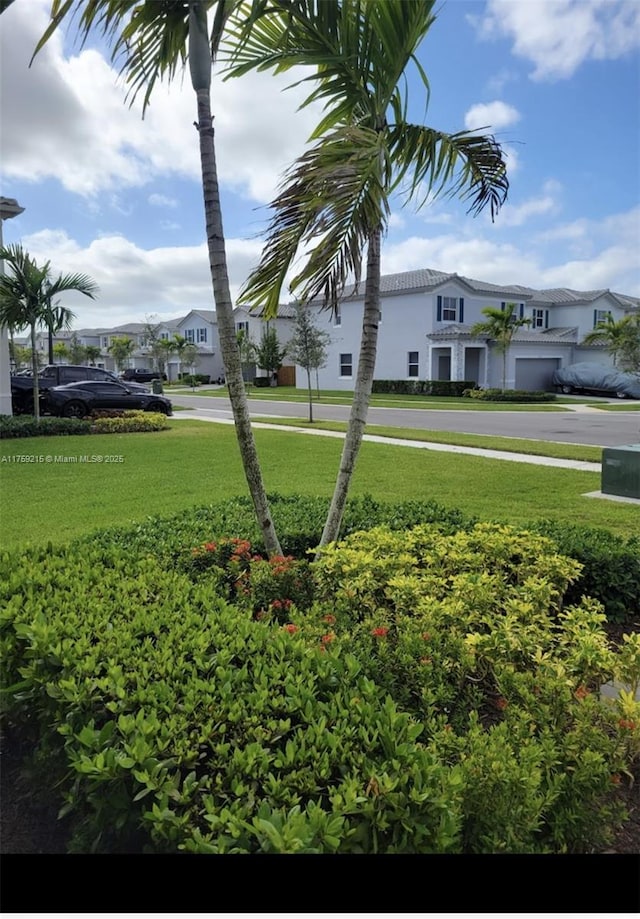 view of yard with a residential view