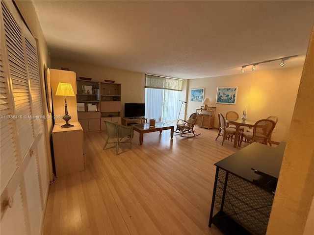 living room with light wood-style flooring and track lighting