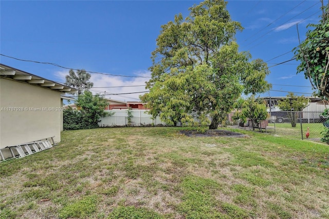 view of yard featuring a fenced backyard