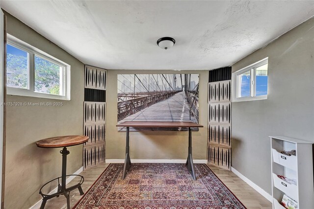 interior space with wood finished floors, a wealth of natural light, and baseboards