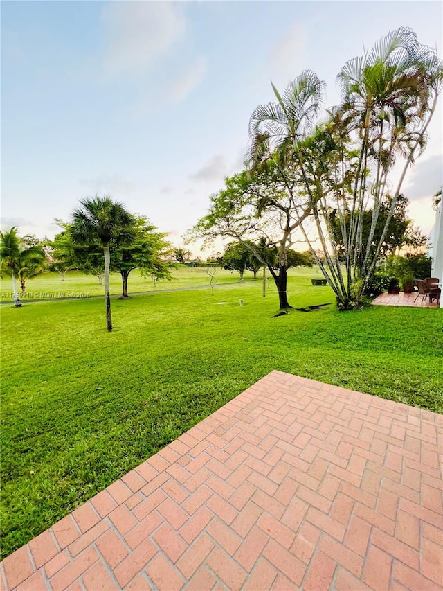 view of yard featuring a patio area