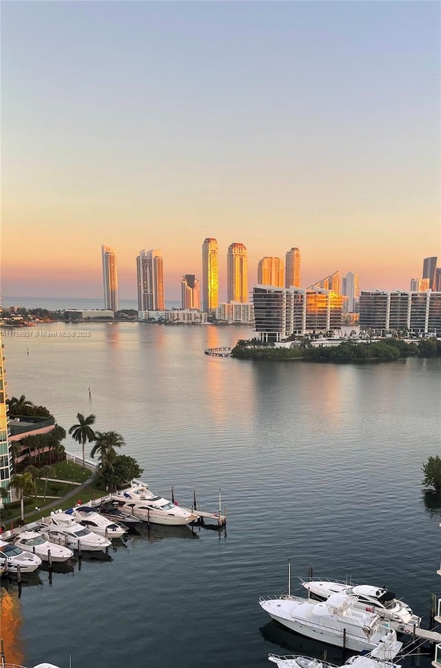 view of water feature featuring a view of city and a boat dock