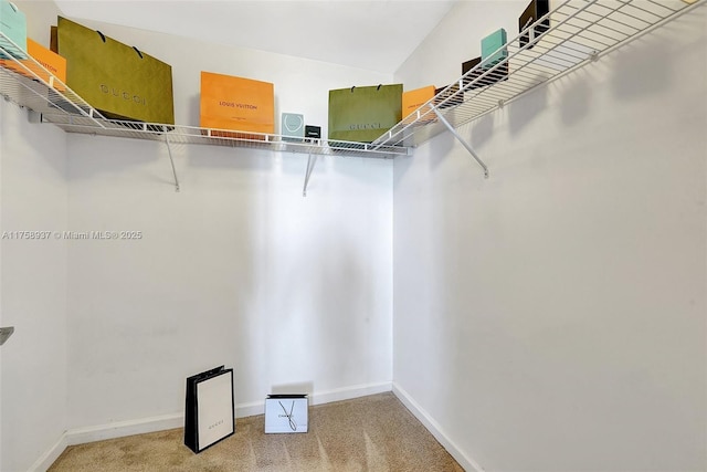 3340 NE 190th St Unit 1608, Aventura, FL 33180 - walk in closet with carpet floors