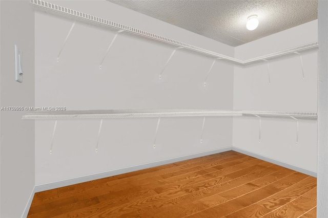 walk in closet featuring wood finished floors