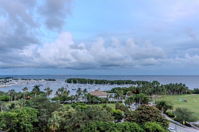 2889 Mcfarlane Rd Unit 1511, Miami, FL 33133 - property view of water