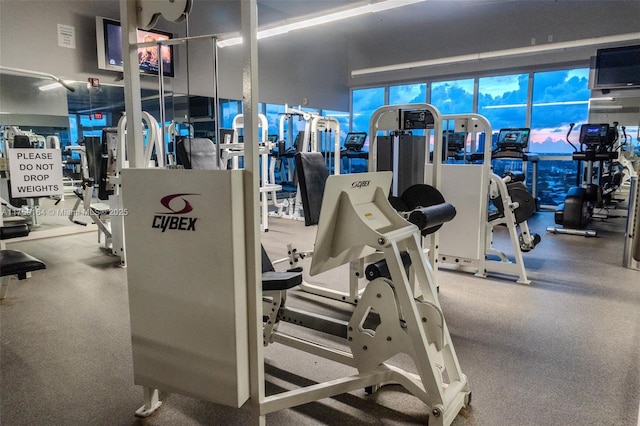 2889 Mcfarlane Rd Unit 1511, Miami, FL 33133 - view of workout area