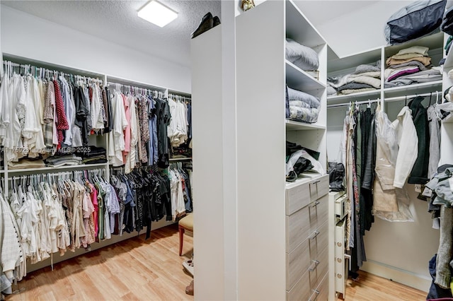 walk in closet featuring wood finished floors