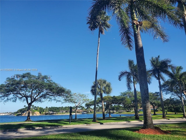 view of property's community with a water view and a lawn