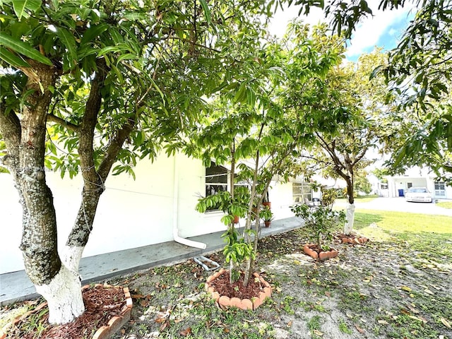 view of side of property featuring a yard