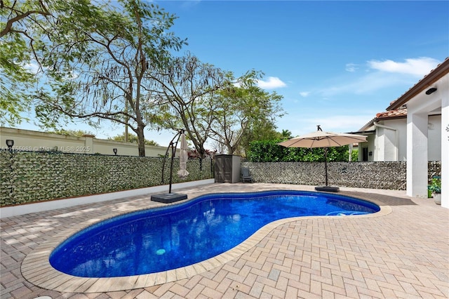 view of pool with a patio area, a fenced in pool, and a fenced backyard