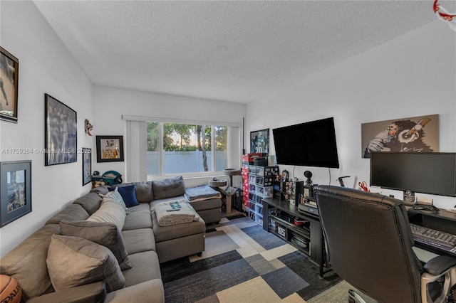 living room featuring a textured ceiling