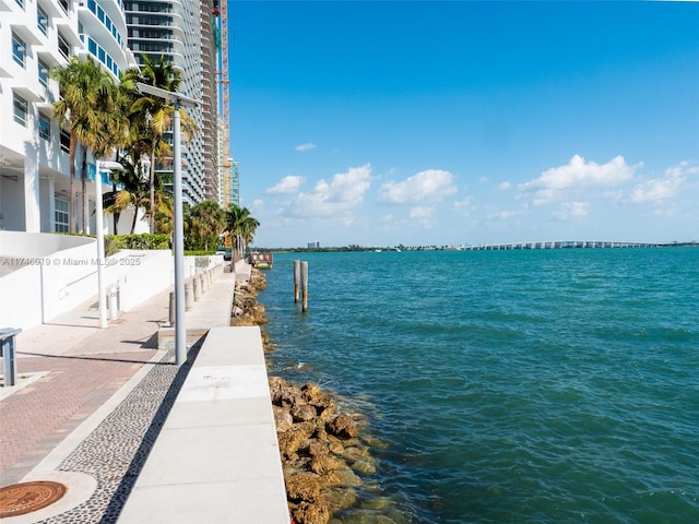 property view of water with a dock