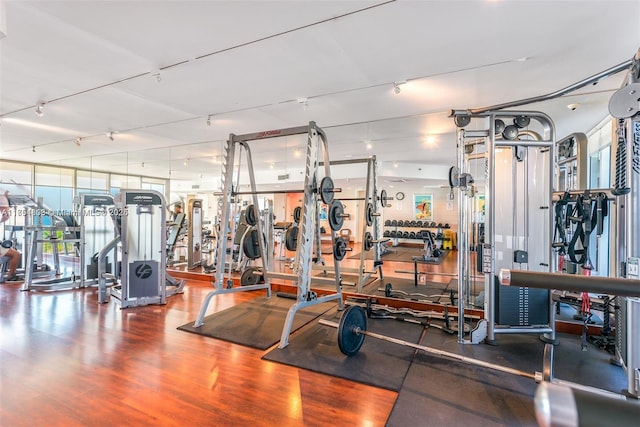 exercise room featuring a wall of windows, track lighting, and wood finished floors