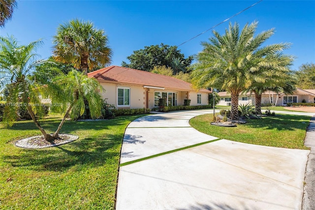 view of front of home featuring a tile roof, a front lawn, curved driveway, and stucco siding