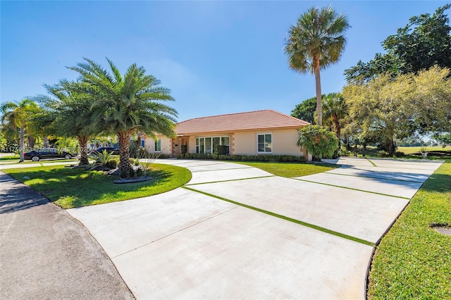 view of front of house with curved driveway, a front lawn, stucco siding, and a tile roof