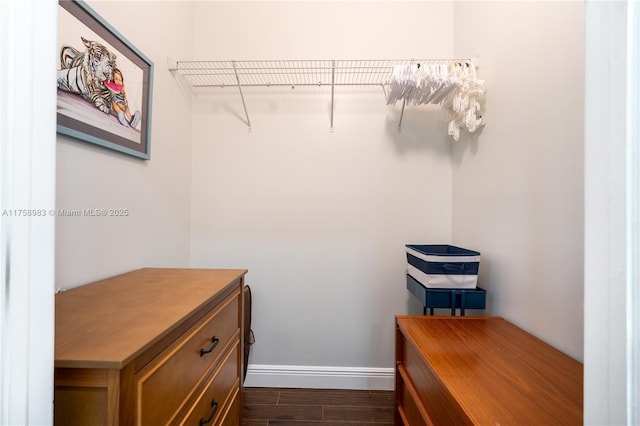 spacious closet featuring dark wood-style floors