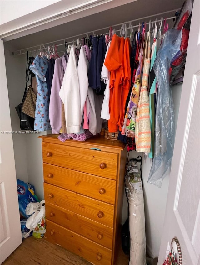 view of closet