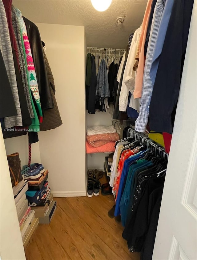 walk in closet featuring wood finished floors