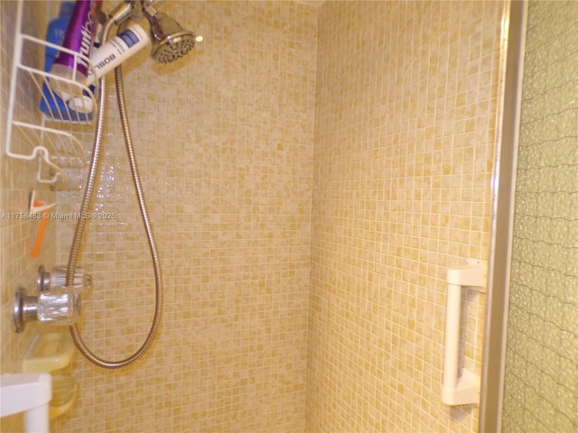 interior details featuring a tile shower