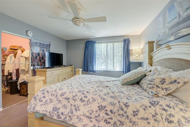 carpeted bedroom featuring a spacious closet, a closet, and a ceiling fan