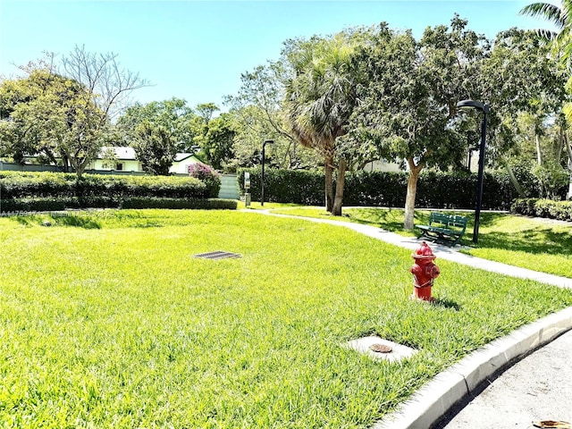 view of property's community featuring a lawn