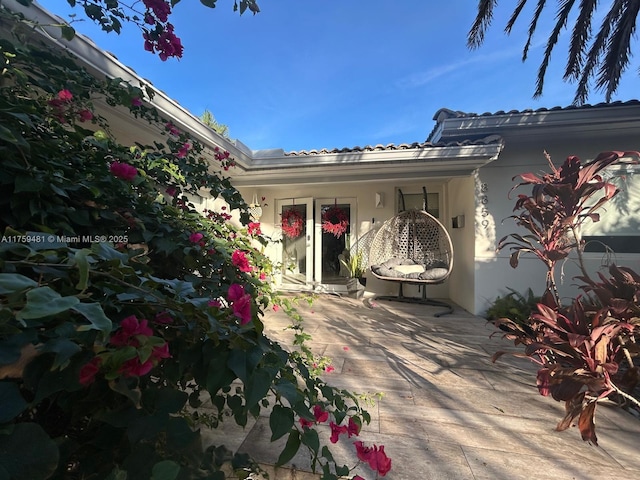 back of house featuring a patio area and stucco siding