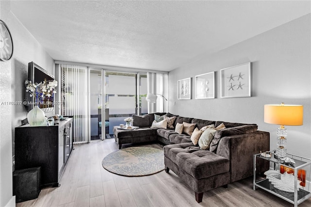 living area featuring a textured ceiling and wood finished floors