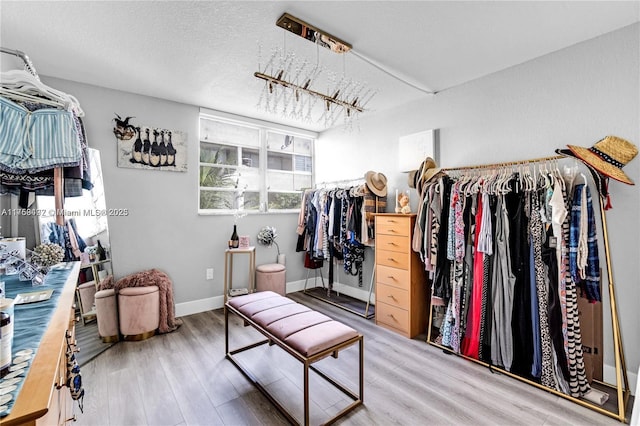 spacious closet featuring wood finished floors