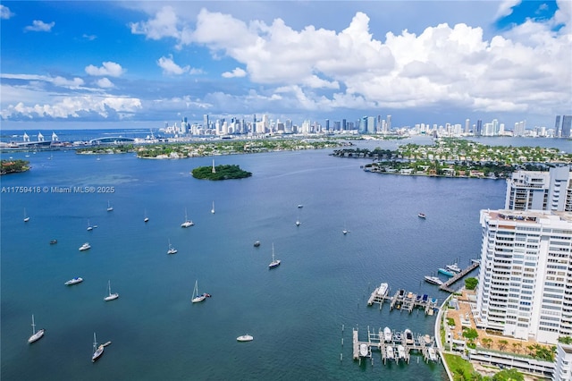 water view featuring a city view